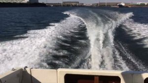 Sea Ray 310 Volvo Penta AD41 sea trial シーレイ 310 ボルボペンタ AD41 試乗　中古艇