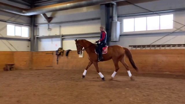 ПРИНЦИП «КОРИДОРА» В УПРАВЛЕНИИ ЛОШАДИ смотреть онлайн