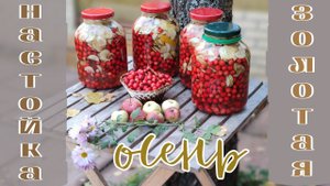Золотая настойка из золотой осени)! Ну и мацератик за одно)!