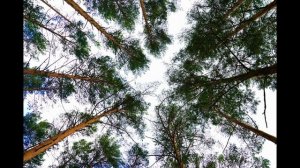 Песня про санаторий "Карагай". Башкортостан