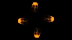 Видео для 3d голограммы на смартфоне