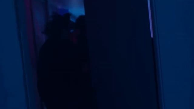 Марго Робби в рекламе Calvin Klein смотреть онлайн