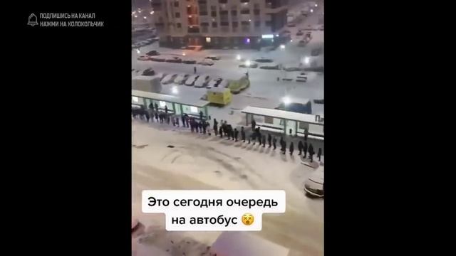 приколисты