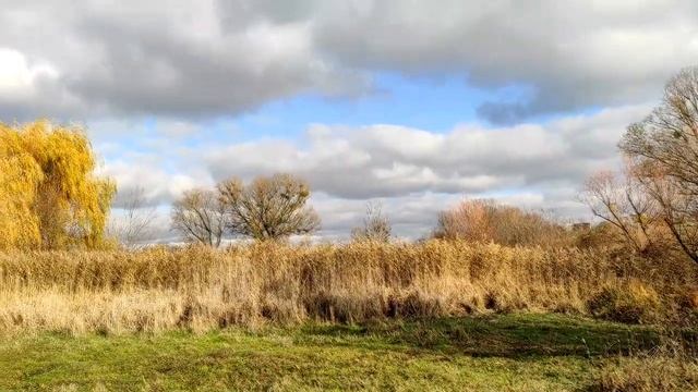 Народный праздник «Кузьминки осенние». 14 ноября. Что нельзя делать смотреть онлайн