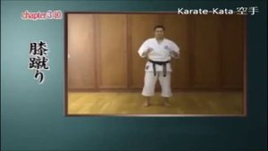 Basic Geri Waza - Karate JKF