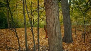 ? Таинственный случай в тайге – неведомый спаситель. Лесной человек. Таежные истории