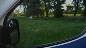 фиат добло 2004года.1.9д