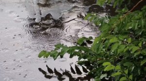 Сборник "Красивая музыка для души" Сергей Чекалин.