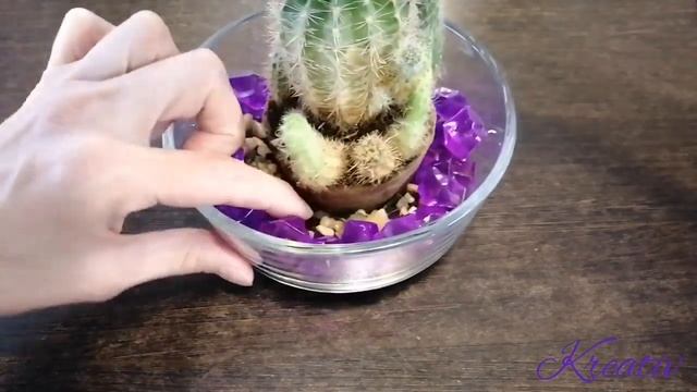 ФЛОРАРИУМЫ с кактусами и суккулентами в стеклянной посуде и с декоративными камнями из FIX PRICE смотреть онлайн