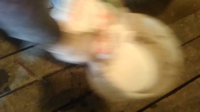 Замазка и подготовка бани по черному своими руками смотреть онлайн