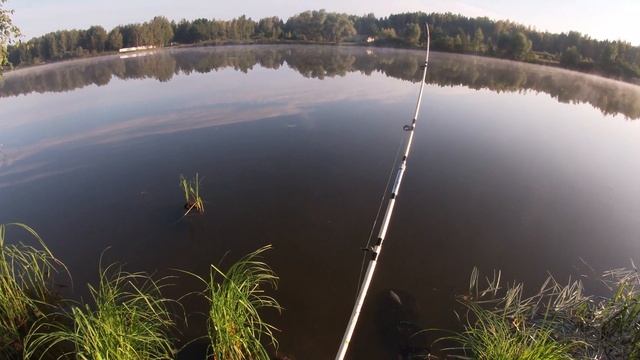 КРУПНАЯ ПЛОТВА НА ФИДЕР ПОШЛА! ЛУЧШАЯ НАСАДКА НА ПЛОТВУ! смотреть онлайн