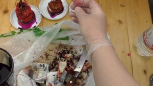 Использование марганцовки для укоренения луковиц гиппеаструмов