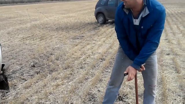 Эксперимент по анализу содержания азота в рядке и междурядье смотреть онлайн