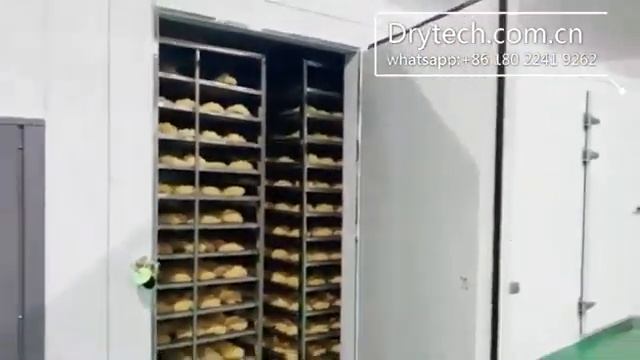 Dried white fungus / tremella смотреть онлайн