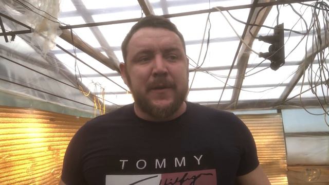 20 дней от всходов смотреть онлайн