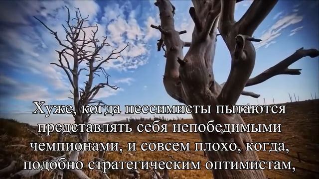 Плюсы пессимизма и минусы оптимизма В поисках равновесия — Статья смотреть онлайн