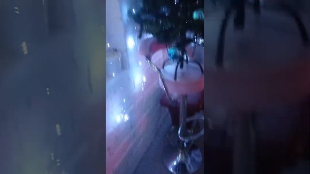 #самый западный регион России#калининградскаяобласть #🇱🇮🖐#декабрь #2023