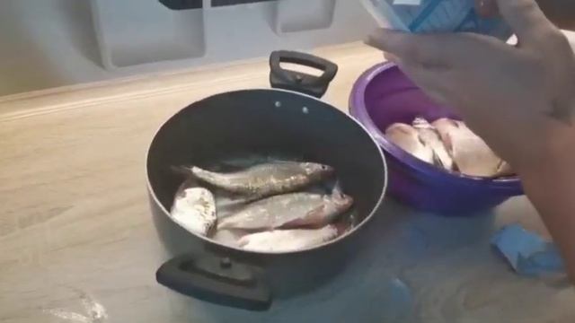 Как правильно солить и сушить рыбу