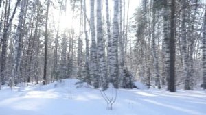 Ансамбль "Свои люди" г.Новосибирск "Белая метелица"