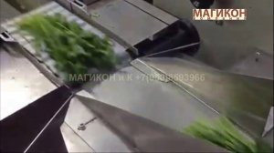 Машина 450Х для упаковки зелени