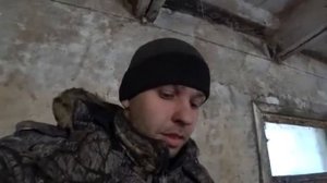 Как организован уход за свиньями и кормление