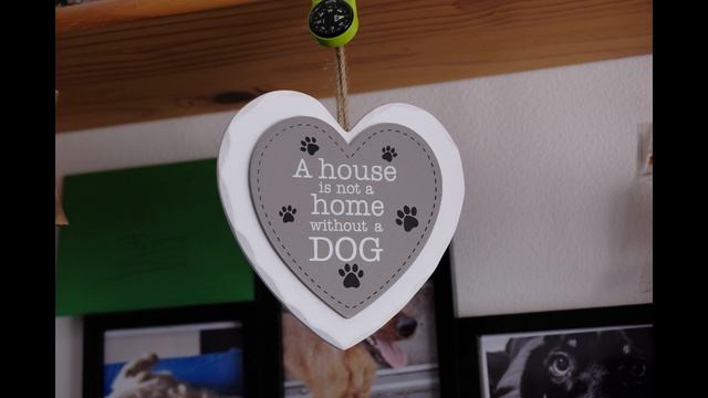 Fujifilm X-Pro3 RECENSIONE: la splendida APS-C dal cuore VINTAGE смотреть онлайн