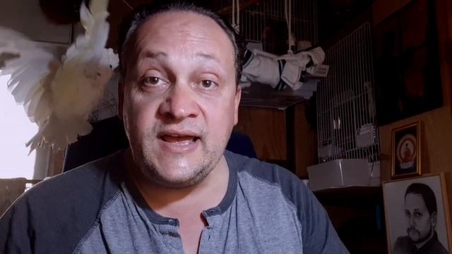 СОЛОМОНОВ КАКАДУ | КАКАДУ ДЮКОРПСА | ИНТЕРВЬЮ ВЛАДЕЛЬЦА смотреть онлайн