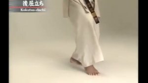 ВСЕ СТОЙКИ В КИОКУШИНКАЙ КАРАТЭ