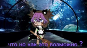 Я СТАЛА РУСАЛКОЙ