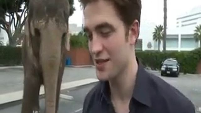 Роб говорит о Тай и о Воды слонам ( русс.суб) смотреть онлайн