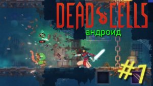 Пытаюсь научиться играть в DEAD CELLS на АНДРОИД #1