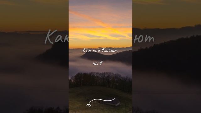 Право на свои желания #энергия #жизнь #психология #shorts смотреть онлайн