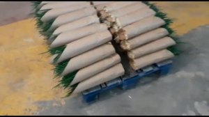 Выгонка лука пера в помещении Часть-6