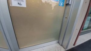 SOS - Трава УСТЮГ!Французкому бульдогу Чаку, устюг угодил в нос!?