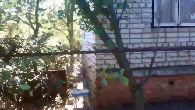 Вырубка кустарников в Саратове и Энгельсе смотреть онлайн