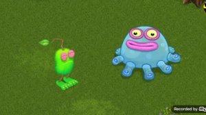 Зерномех и Палезатор дуэт