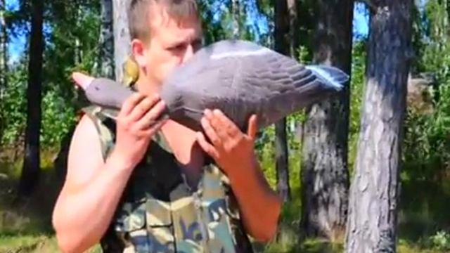 чучела гусей для охоты