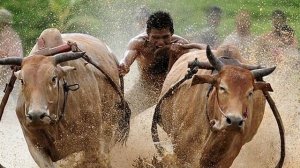 Пять быков Песня на стихи Николая Гумилёва