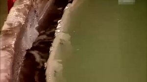 Как делают добывают золото