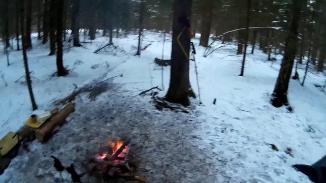 Весенняя прогулка по лесу с ночными посиделками у костра смотреть онлайн