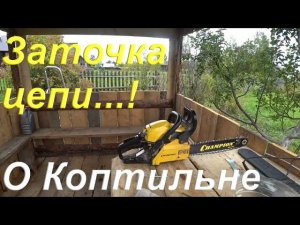 Затачиваю цепь на бензопиле/ Распиливаю хлам/ Про вездеход/ Птици сожрали все ягоды/ О коптильне