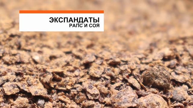 Установка для производства комбикормов, а также кормов для рыб и для сельскохозяйственной птицы
