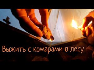 Ночь в лесу у реки. Выживание в лесу. Сыктывкар