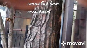 гостевой дом семейный в лазаревском