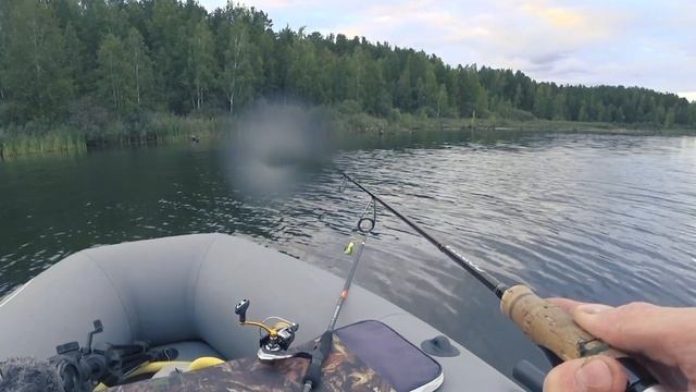 Я же теперь И спиннингист! Рыбалка с ночёвкой, Белоярка, день первый.