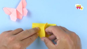 Оригами для школы. Как сделать закладки из бумаги своими руками. Оригами бабочка. Готовимся к школе