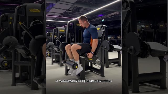 Разгибание голени сидя. Четырехглавая мышца бедра смотреть онлайн