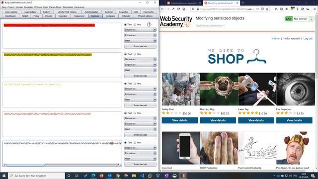 Modifying serialized objects (Video solution) смотреть онлайн