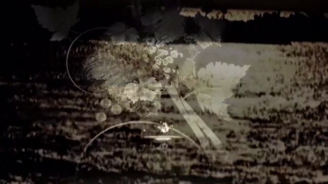 Зов Вечности смотреть онлайн