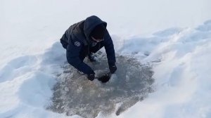 зимние корчаги из бутылок. проверяем что ловится.зимой..